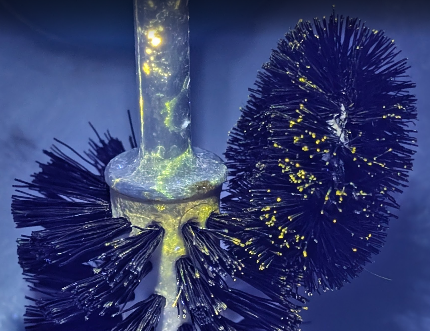 Børste under UV lys